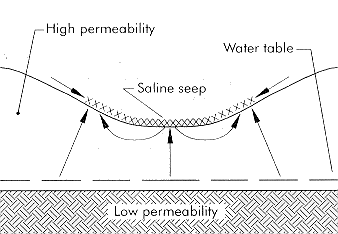 Figure 7. Depression bottom salinity 