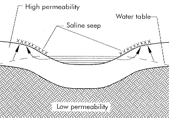 Figure 8. Slough ring salinity