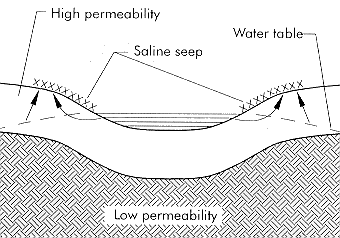 Figure 8. Slough ring salinity 