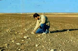 Wind removes smaller soil particles and leaves rocks exposed on the surface. 