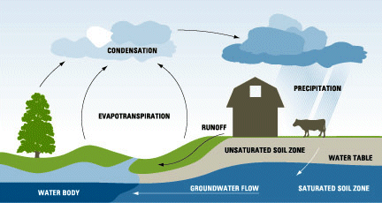 Water cycle