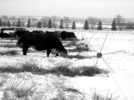 Grazing swaths