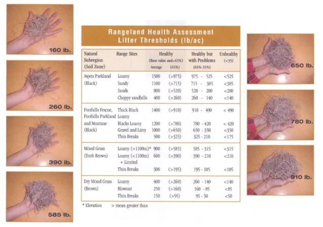 Rangeland Health Assessment Litter Thresholds (lb/ac)