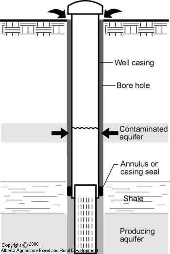 Annulus or Casing Seal