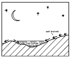 Figure 1. Cold air collecting in frost hollows affects the length of season.