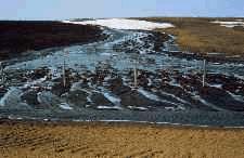 Bare soils are very vulnerable to erosion.