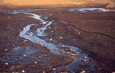 Fallow fields with no residue cover are very erosion prone.