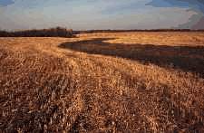 Grassed waterways are shallow and easy to cross.