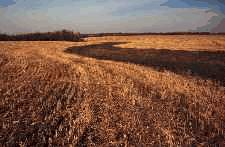 Grassed waterways are shallow and easy to cross. 