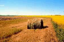Some landowners produce hay on their waterways.