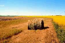 Some landowners produce hay on their waterways. 