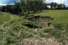 An eroded gully.