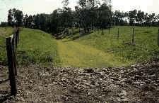 After seeding the lined channel.