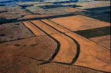 Terraces intercept runoff.