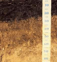 Soils high in organic matter are better able to resist erosion. 