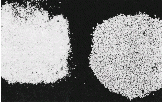 Figure 4.  Left: dry-rolled grain is too fine and can cause bloat Right: tempered and rolled grain is coarse and free of dust