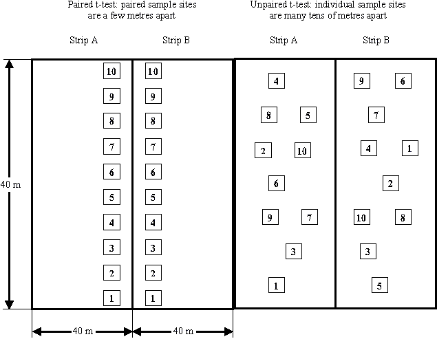 Plot designs for paired and unpaired t-test analysis