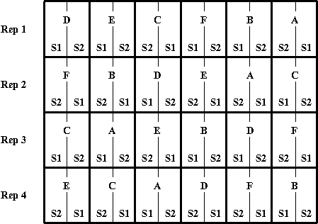 Split plot design