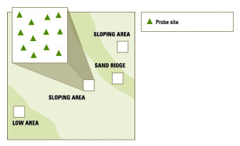 Benchmark soil sampling