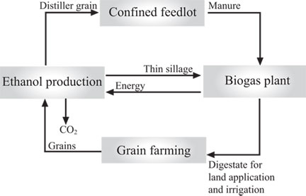 Figure 2. Schematic diagram of an integrated system consisting of an ethanol plant, CFO, grain farm and biogas plant.