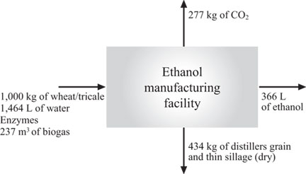 Figure 1. Ethanol production from wheat/triticale.