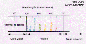 fig14.gif - 19 K