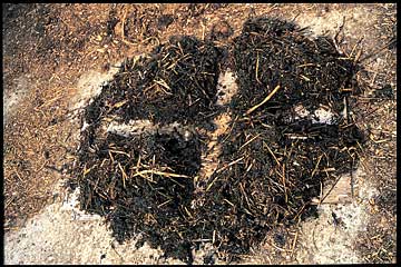 Figure 1. Dividing a pile manure into four sections