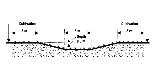 Figure 1. Cross-section of a typical grassed waterway